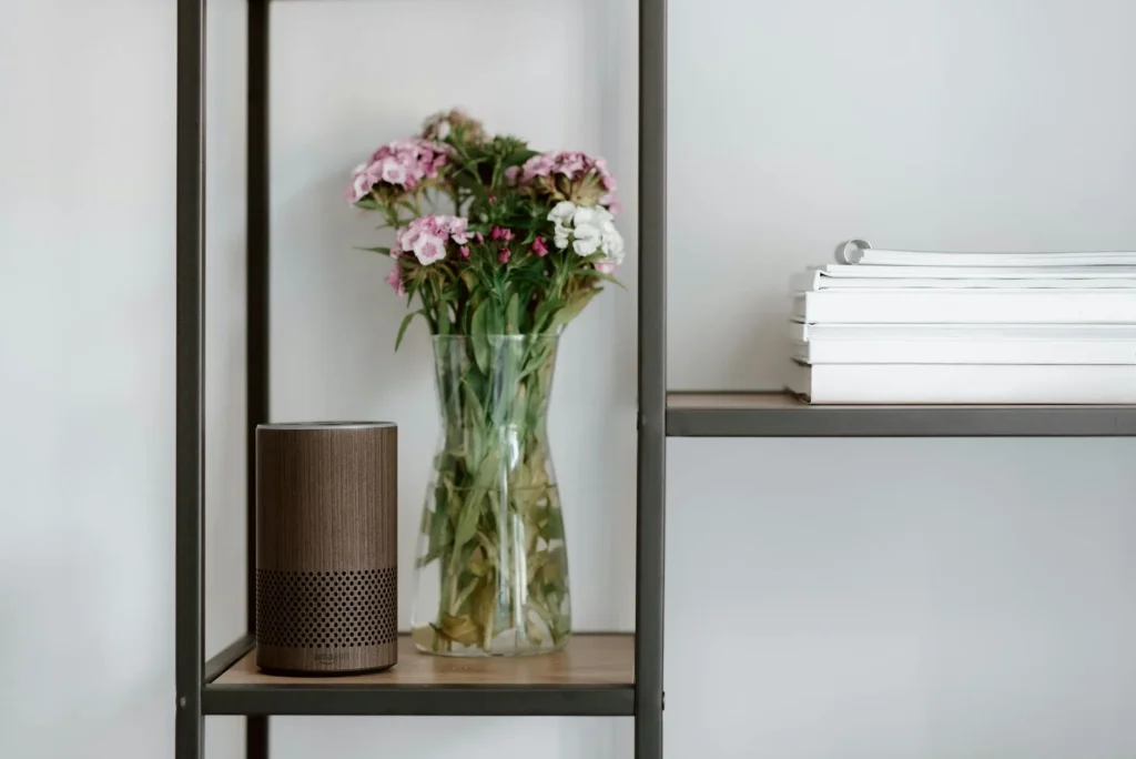 Amazon Echo smart speaker on a living room shelf